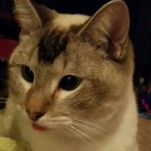 Meet your Posher, Harley